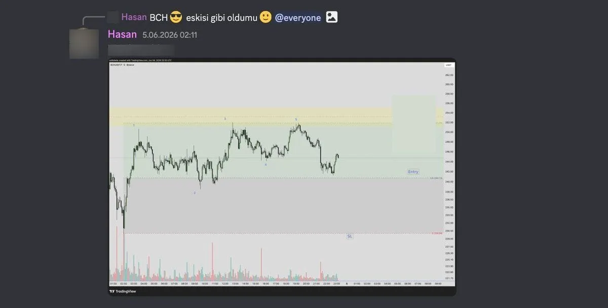 Discord mesajı ve BCHUSDT grafiği: Entry ve SL kutuları arasında fiyat; mesaj metni ve Binance kartı kapatıldı