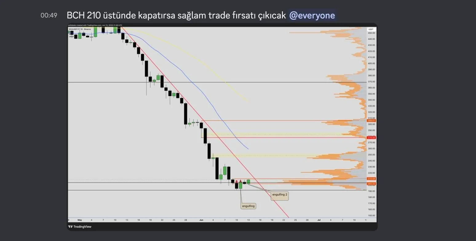 Discord mesajı ve BCHUSDT günlük grafik: engulfing etiketleri, 210,54 ve 202,22 seviyeleri, düşen trend çizgisi ve hacim profili